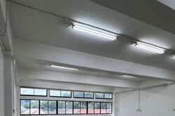 Kapo Factory Building (D13), Factory #635874151